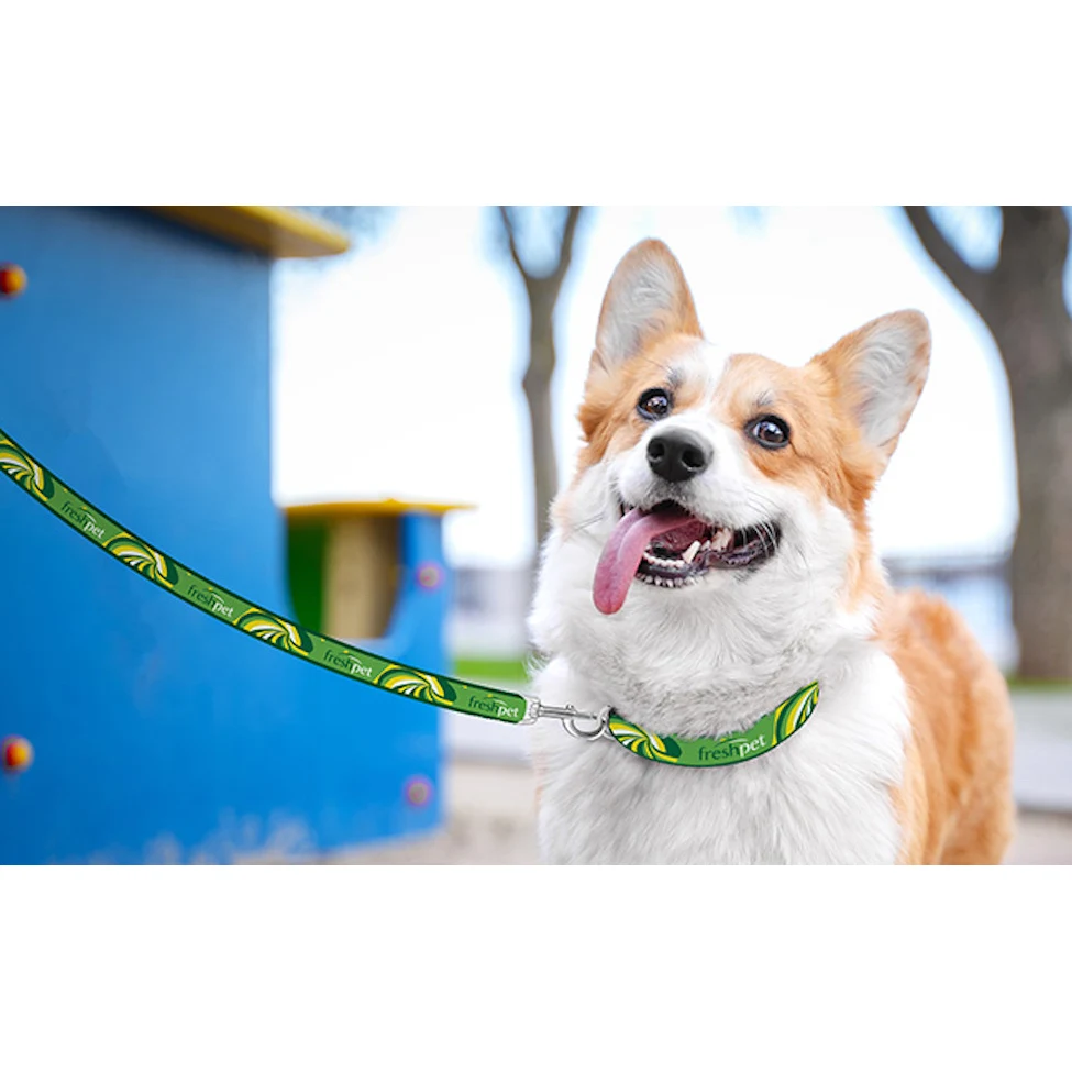 Full-Color Leash 1