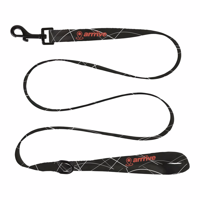 Dog Leash: Regular