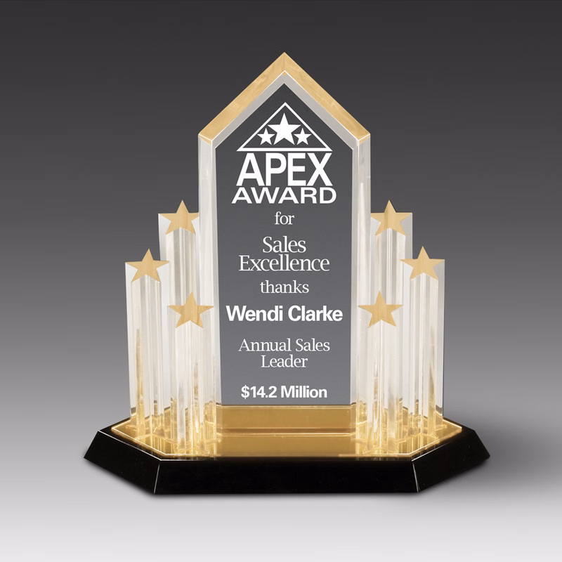 Stellar Performance Outstanding Achievement Award (11"x11")