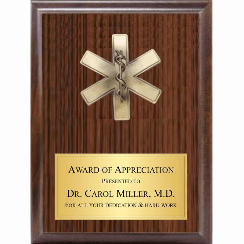 5" Star Of Life On Plaque