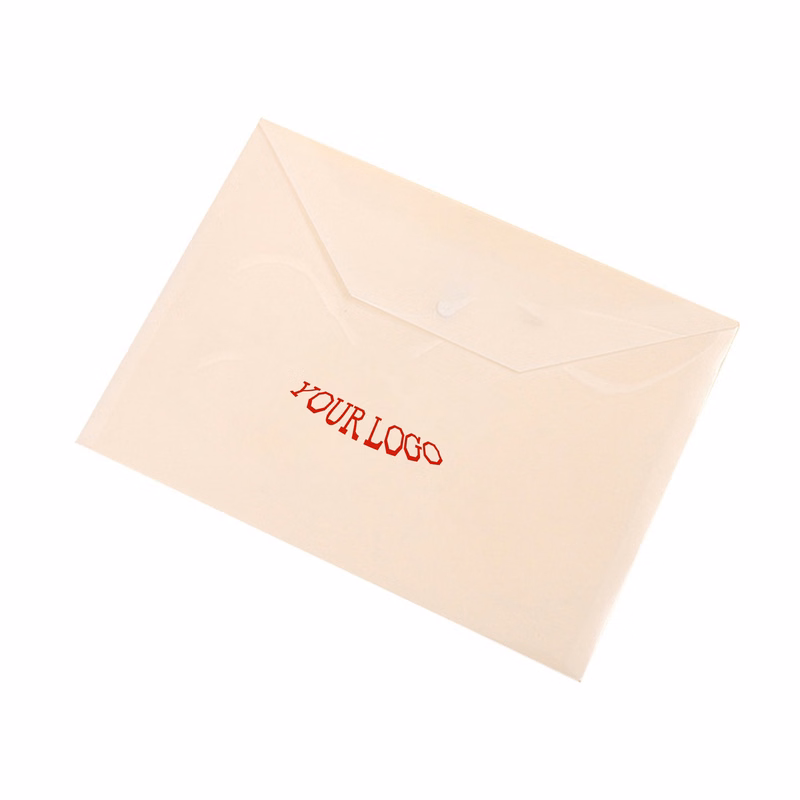 Transparent A4 Document Pouch