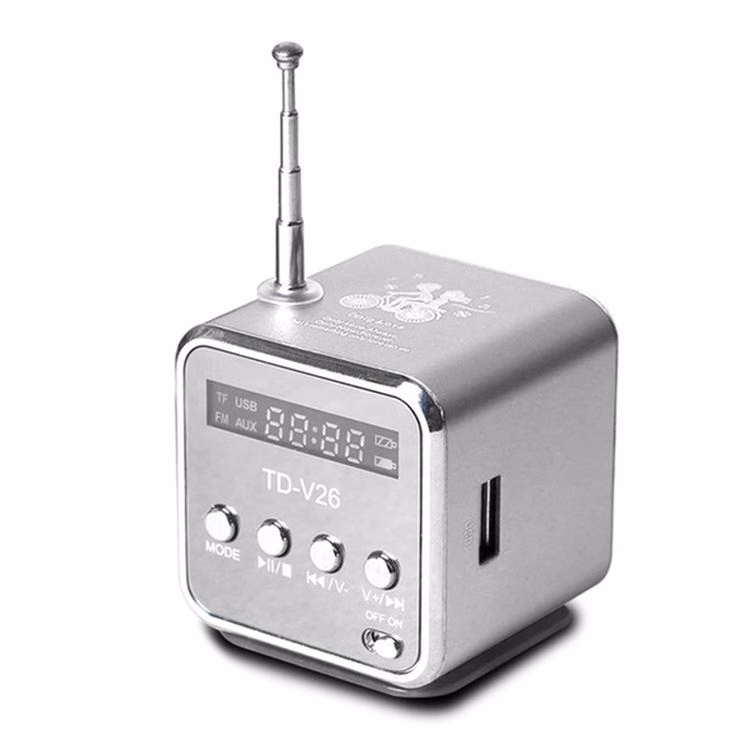 Radio Speaker