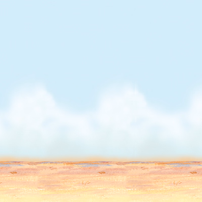 Desert Sky & Sand Backdrop