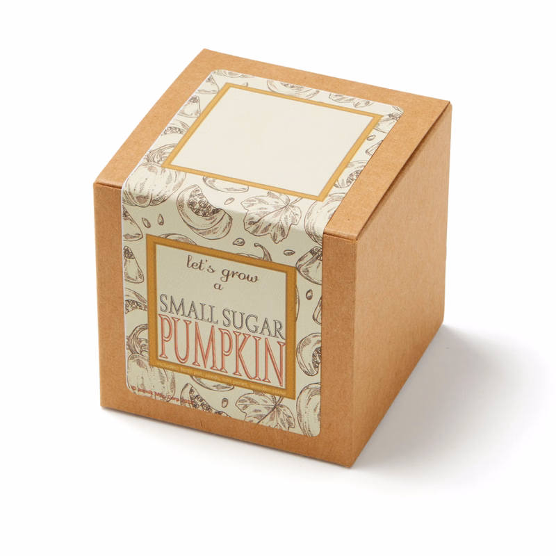 Small Sugar Pumpkin Growables Planter Pot in Kraft Gift Box w/Seeds
