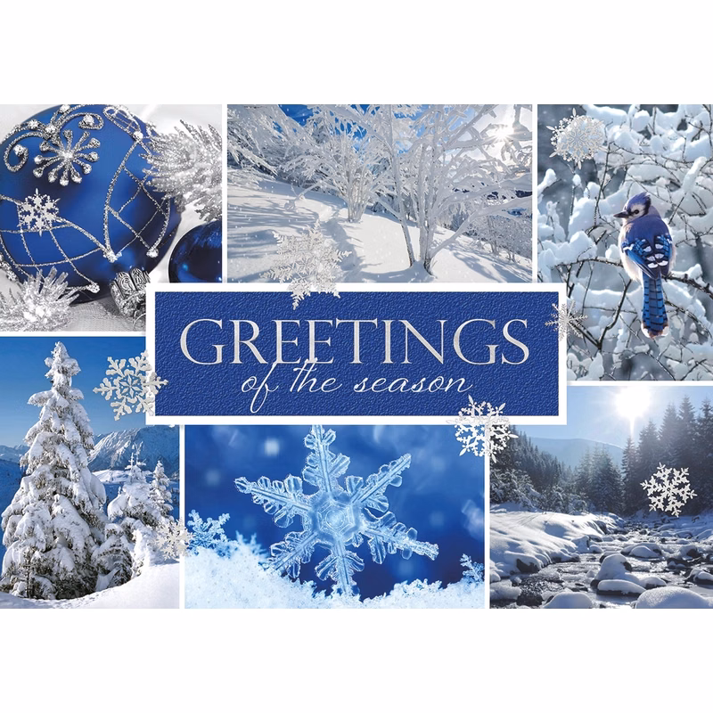 Snow Beauty Holiday Cards