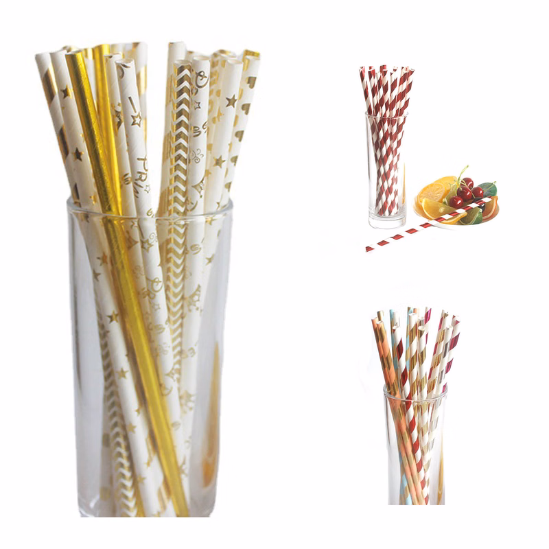 Disposable Environmentally Friendly Paper Straw