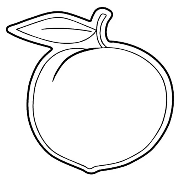 Magnet - Peach - Full Color 1