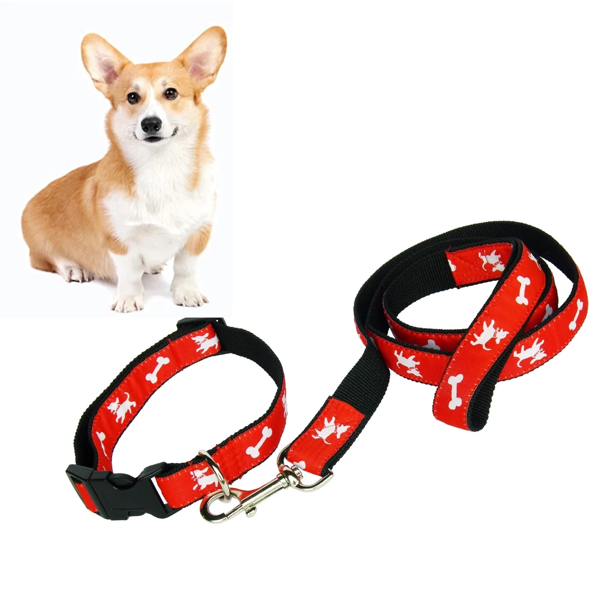 Dog Collar & Leash Set W/ Carabiner Hook 1
