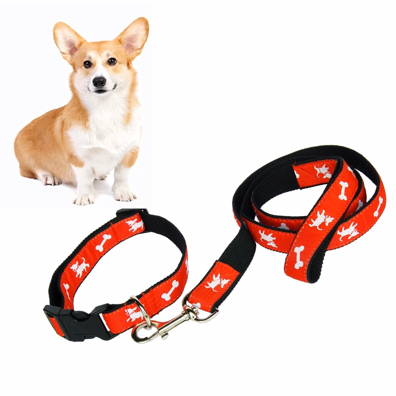 Dog Collar & Leash Set W/ Carabiner Hook