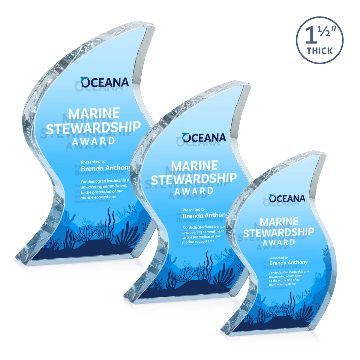 Nexis VividPrint™ Double Sided Award 1