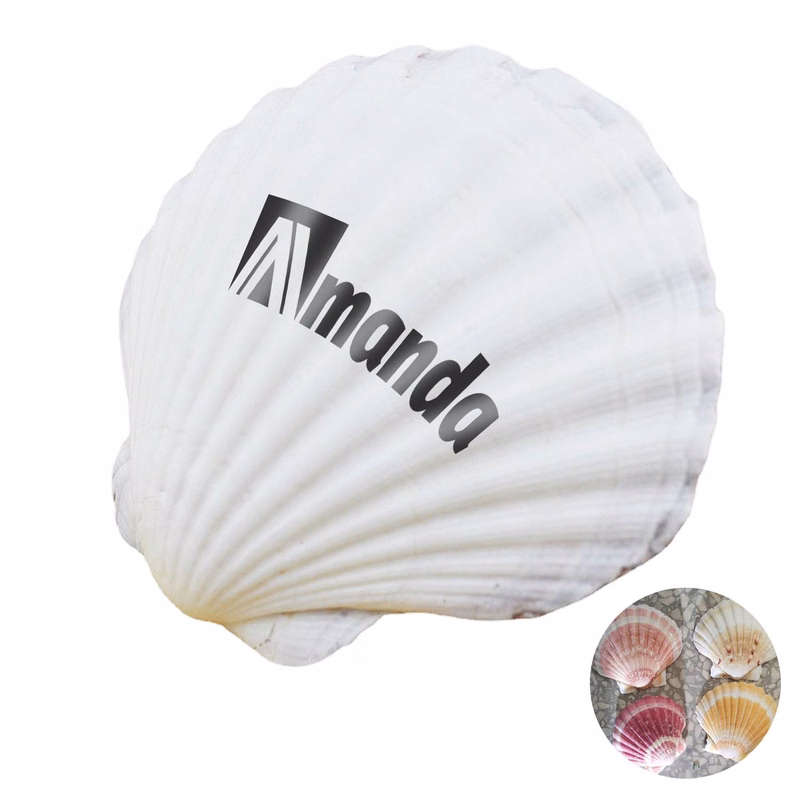 Shells