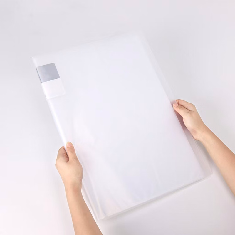 Transparent PP File Folder with A4 Size
