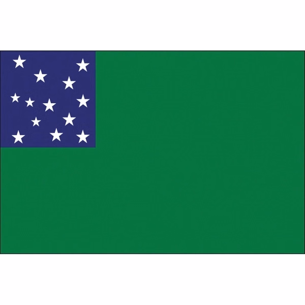 Special Historical Stick Flag - Green Mt. Boys