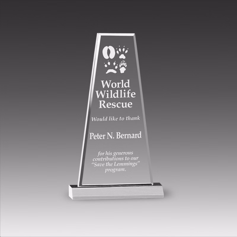 Premium Prism Award (6"x10")