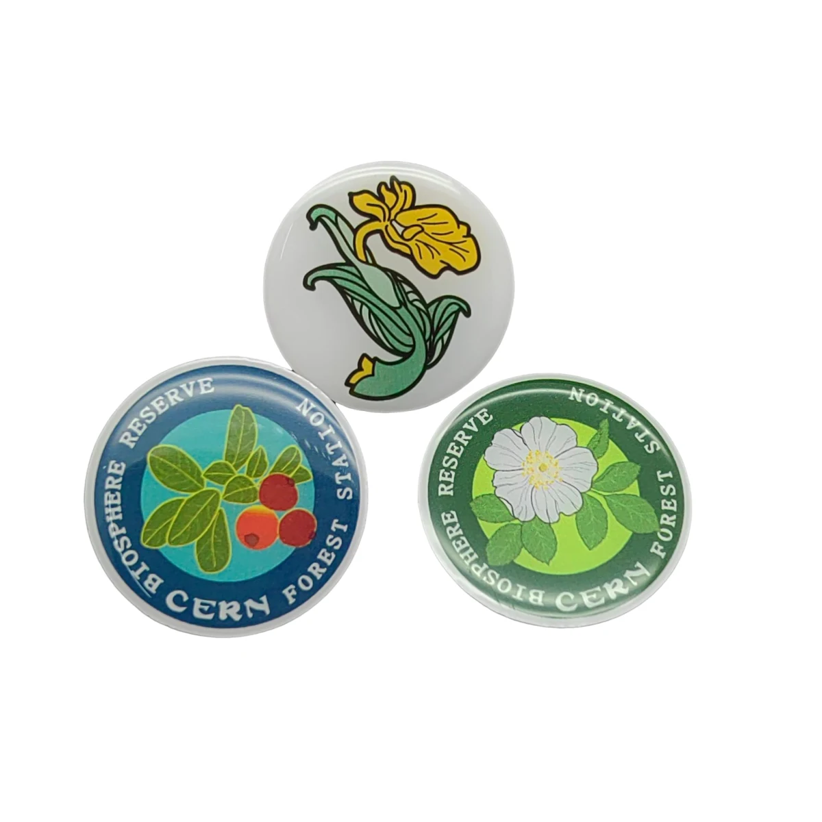 Lapel Pin with Epoxy 1