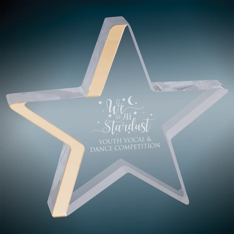 6.75" x 6" Gold Star Acrylic Award 1