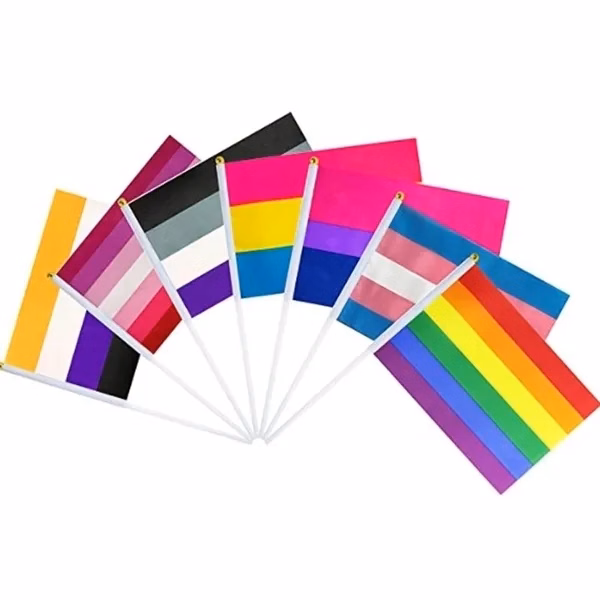 Rainbow Pride Flags