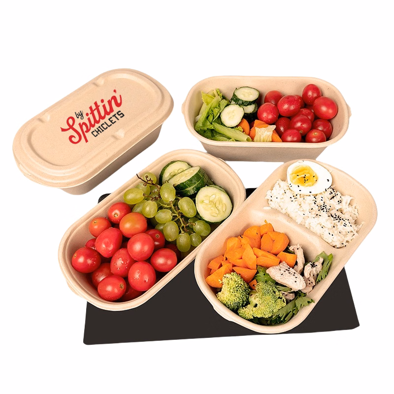 Disposable Biodegradable TakeOut Lunch Box