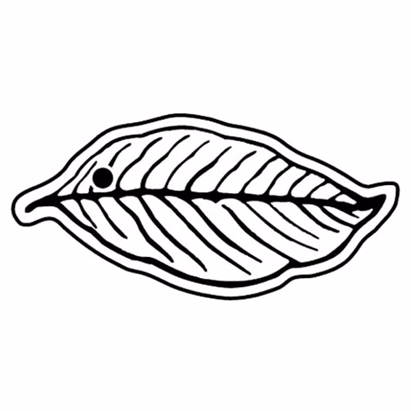 Tobacco Leaf Key Tag - Spot Color