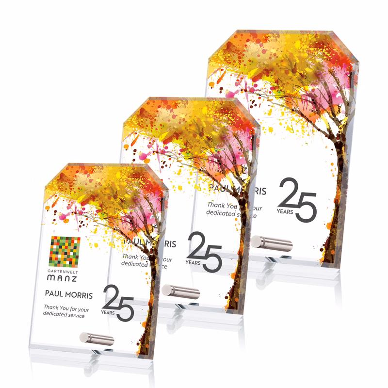 Cantebury Clipped Rectangle VividPrint™Award
