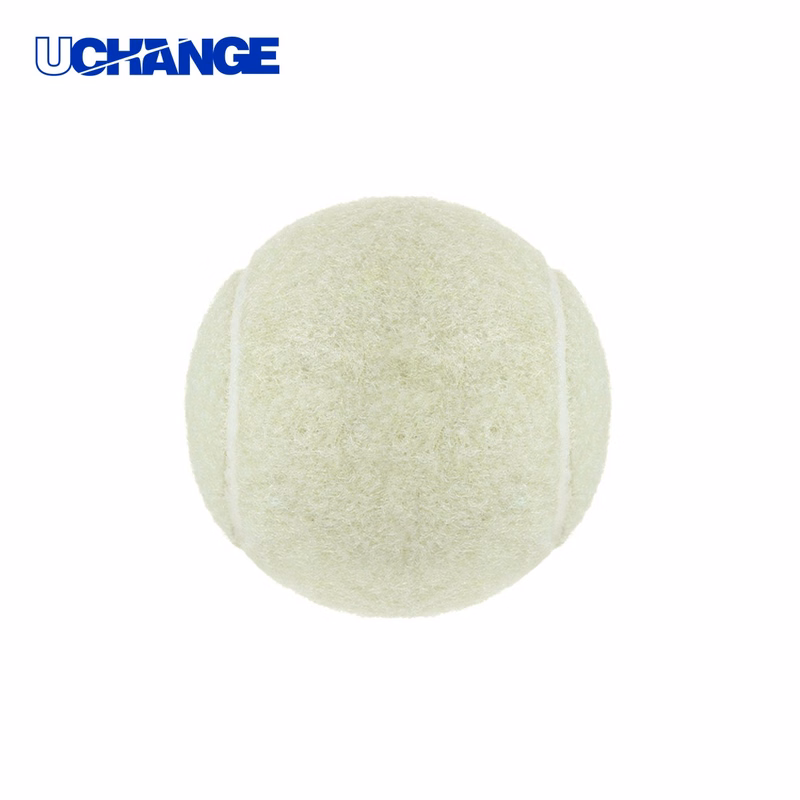 Training Fetch Rubber Ball