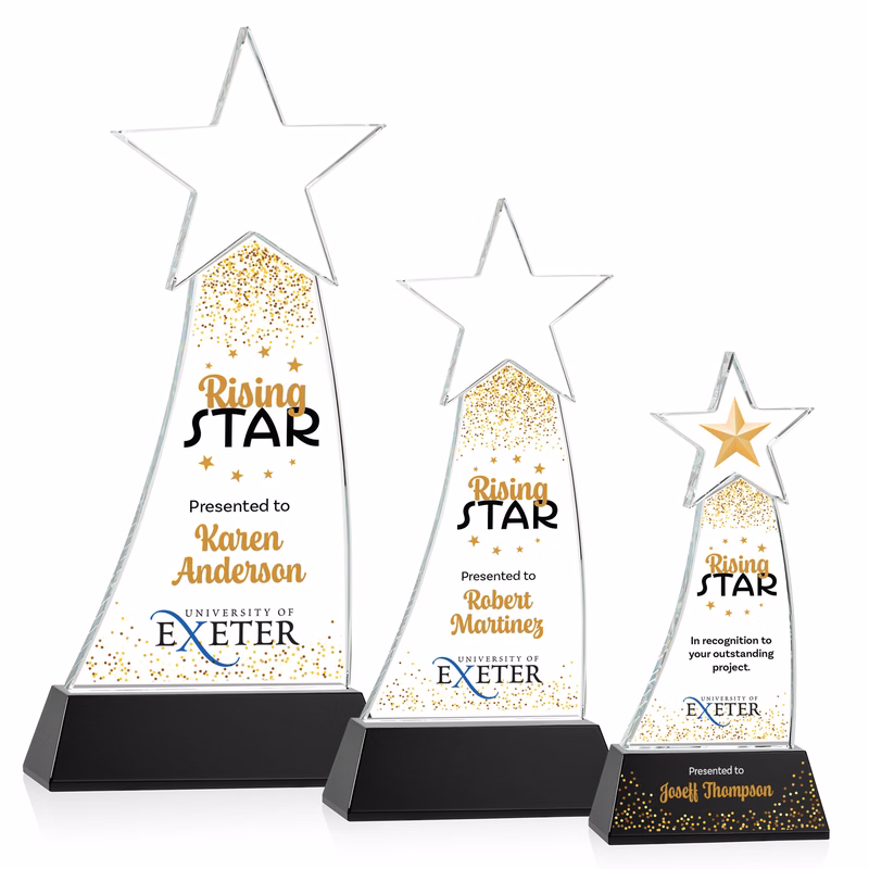 Manolita VividPrint™ Award - Black