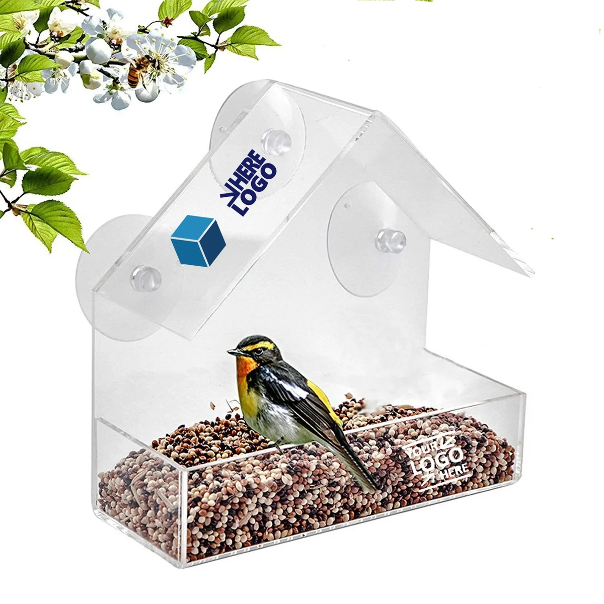 Clear Window Bird Feeder With Strong Suction Cup 1