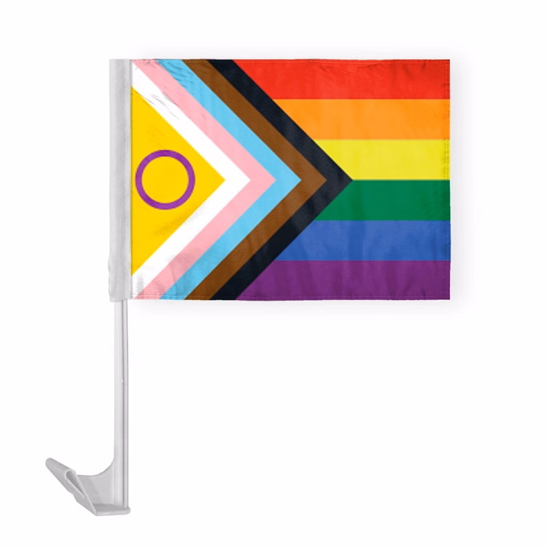 12 " x 16 " ePoly Intersex Progressive Pride Economy CarFlag