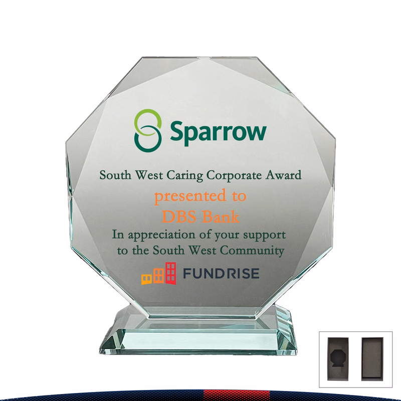 Vioy Octagon Award