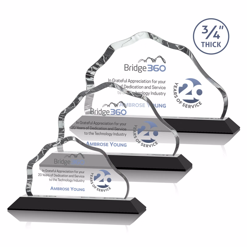 Petersen VividPrint™ Award - Black