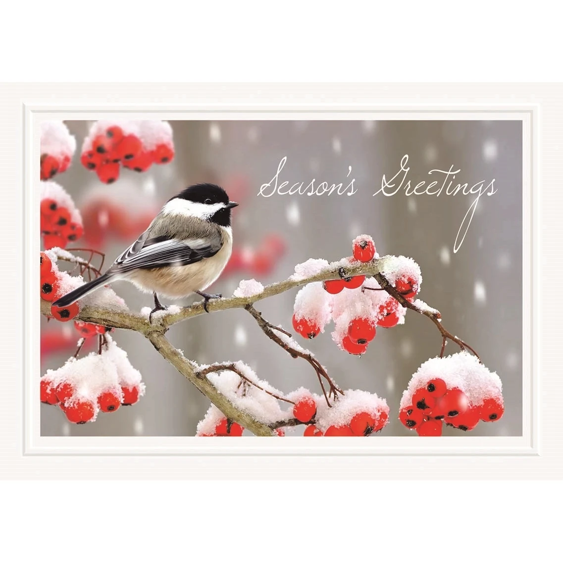 Tweet Greetings Holiday Cards 1