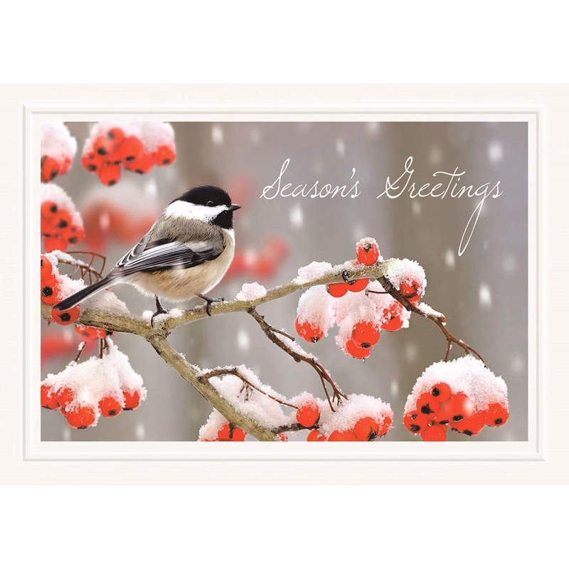 Tweet Greetings Holiday Cards