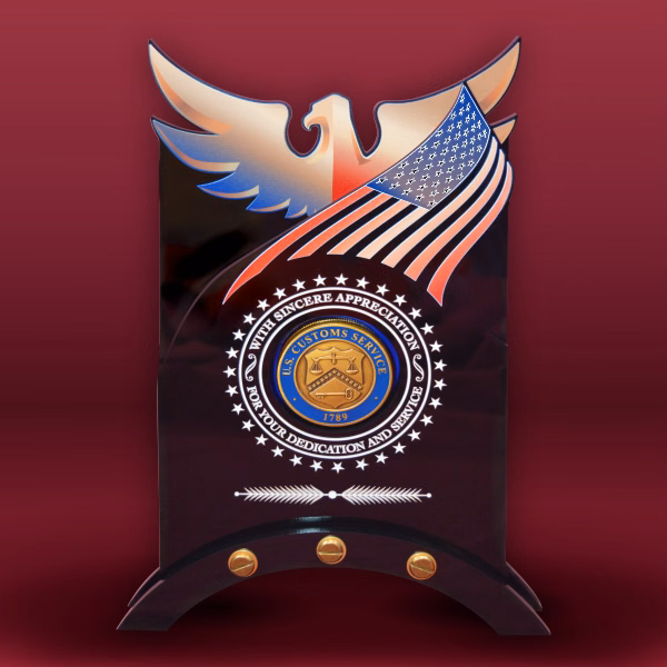 Acrylic Coin Display With Eagle Flag Design