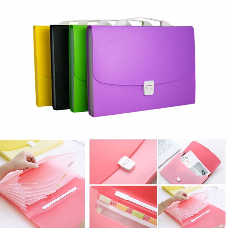 Organ Bag Multi-Layer Folder 13 Grid Portable