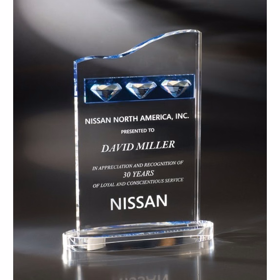 Contemporary Vistas Crystal Amor Award