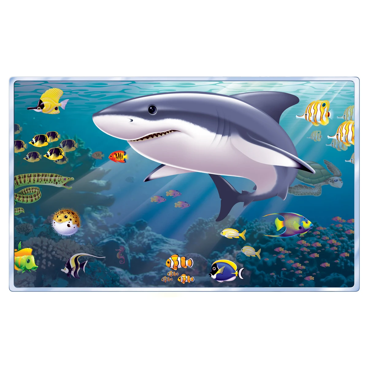 Aquarium Insta-View 1