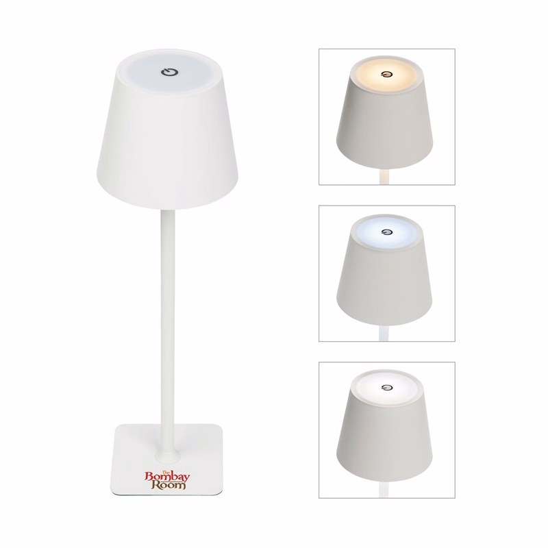 Theo LED Rechargeable Desk Lamp
