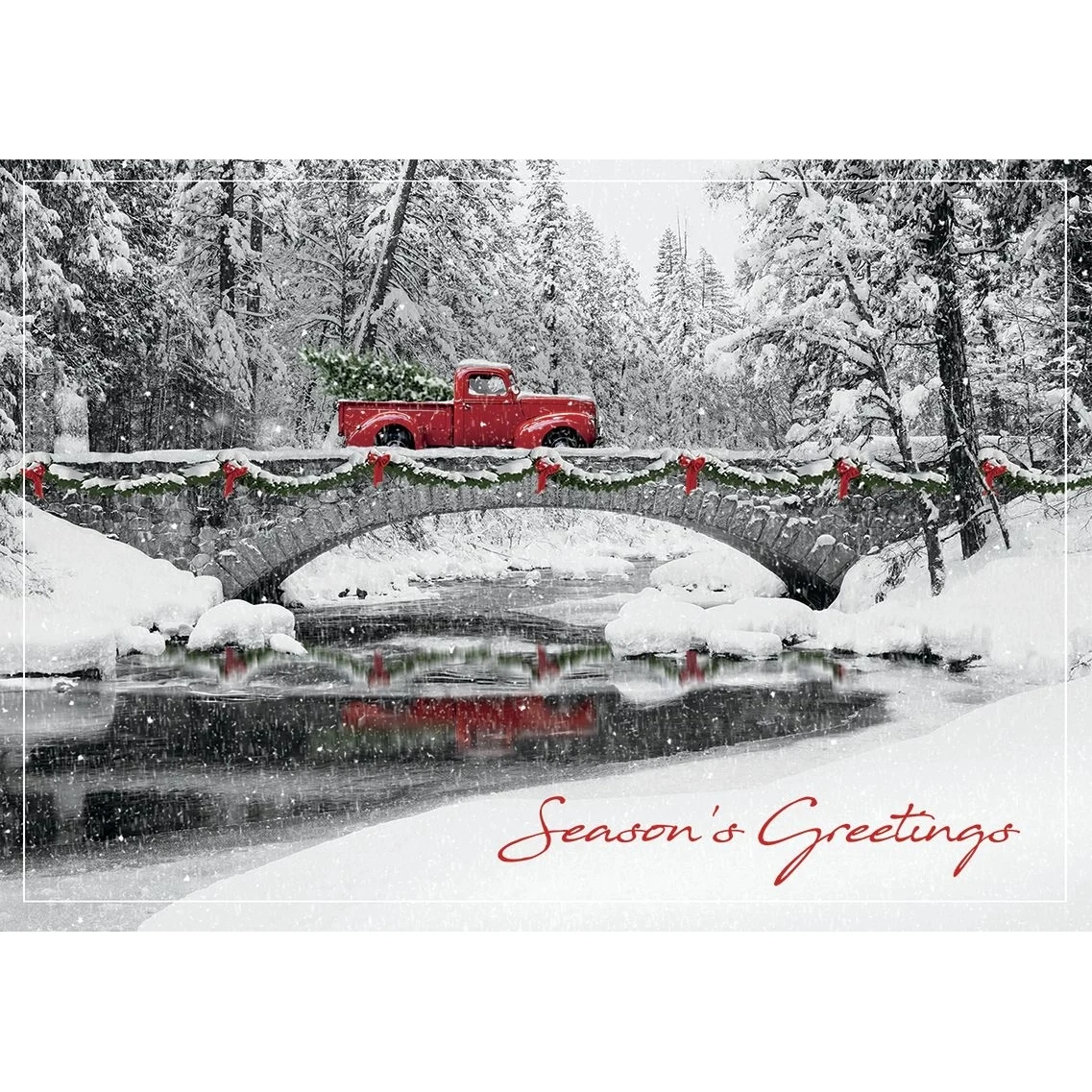 Homeward Bound Holiday Cards 1