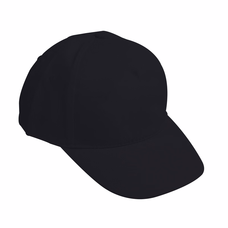 Curved Polyester Cap (Blank)