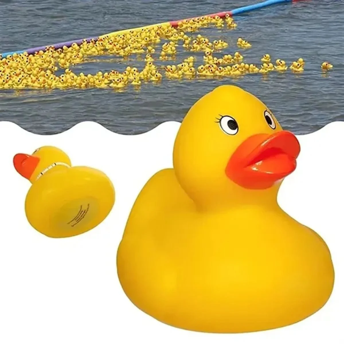 Weighted Rubber Racing Duck 1
