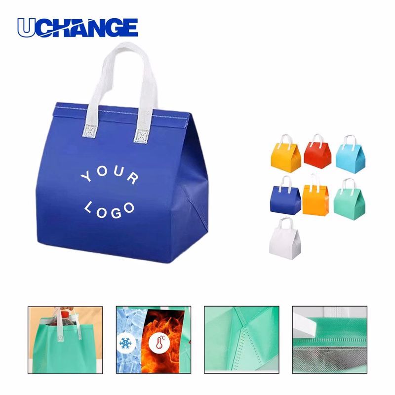Insulated Cooler Tote Bag Organizer for Travel and Picnics