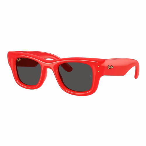 Ray-Ban Wayfarer Puffer Sunglasses