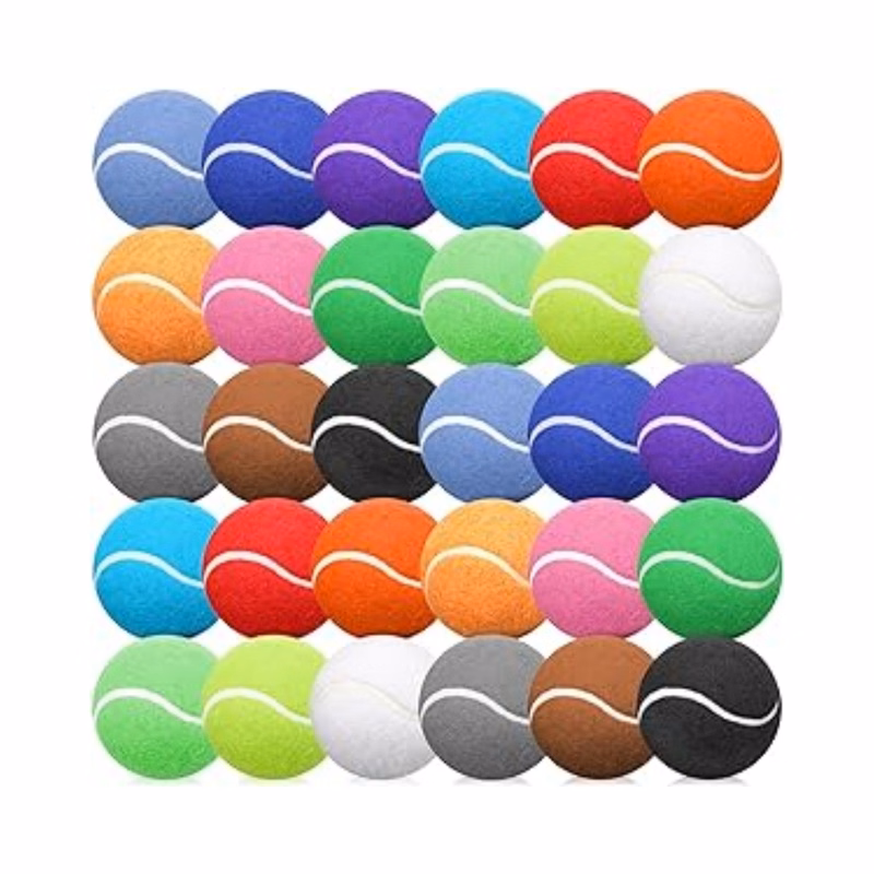 2.5inch Dog Training Tennis Balls