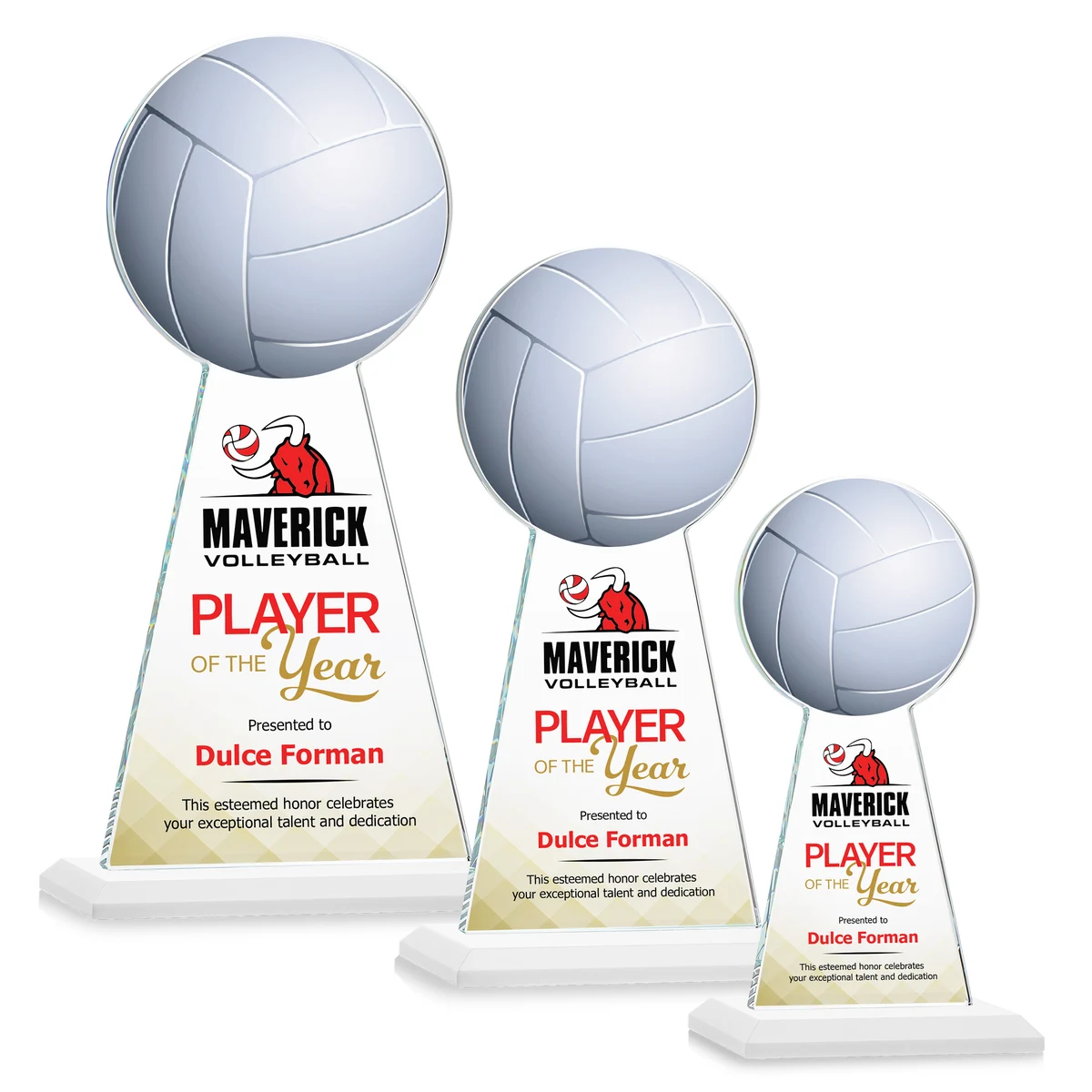 Edenwood Volleyball VividPrint™ Award - White 1