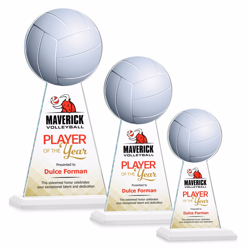 Edenwood Volleyball VividPrint™ Award - White
