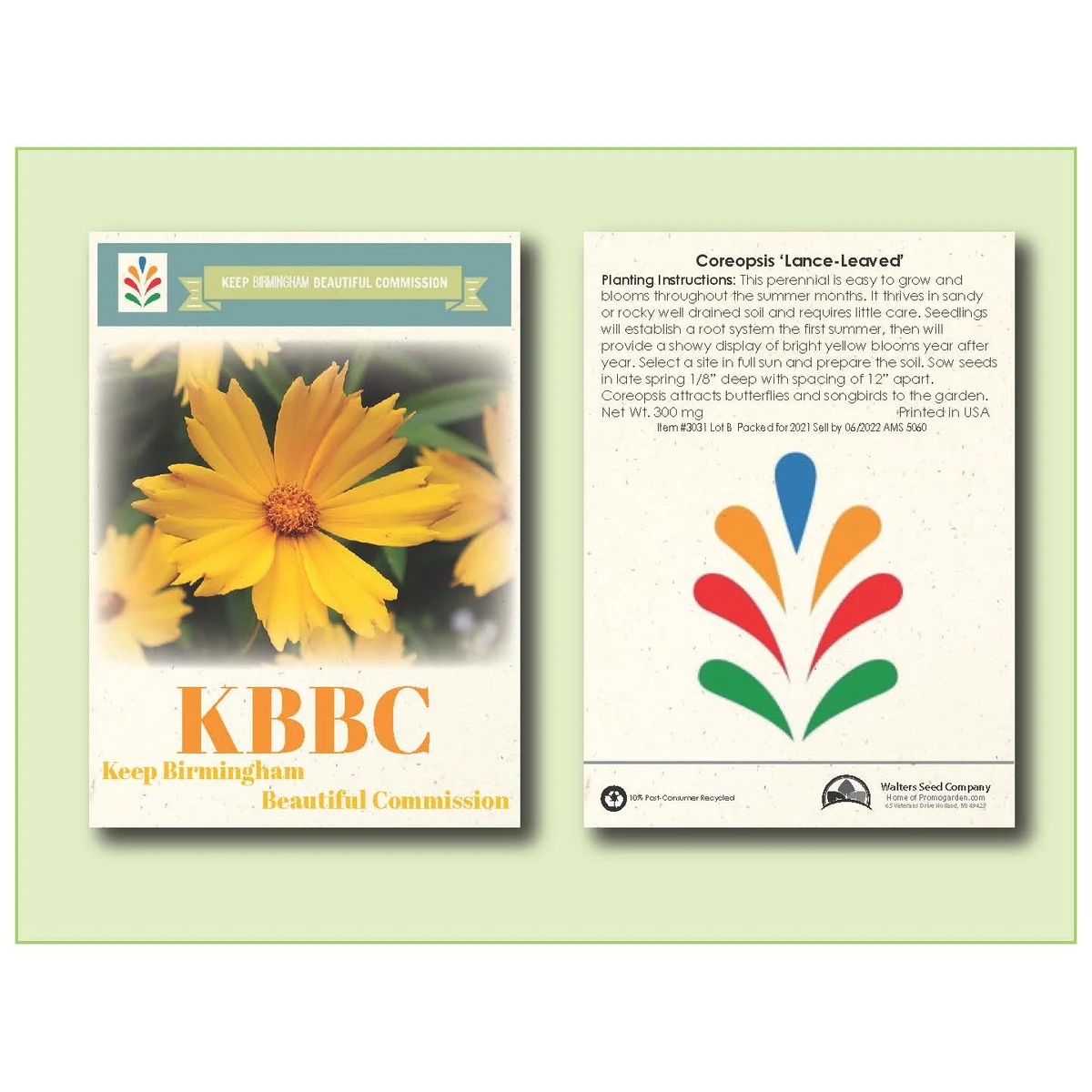 Coreopsis Lance-Leafed Seed Packet - Size 3.25" x 4.5" 1