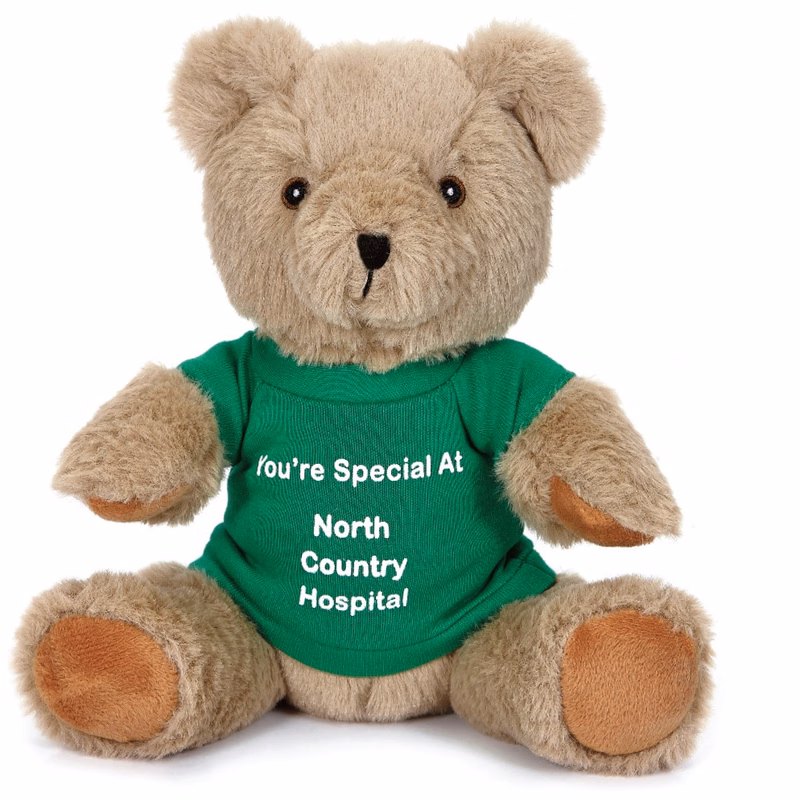 10" Jonathan Teddy Bear