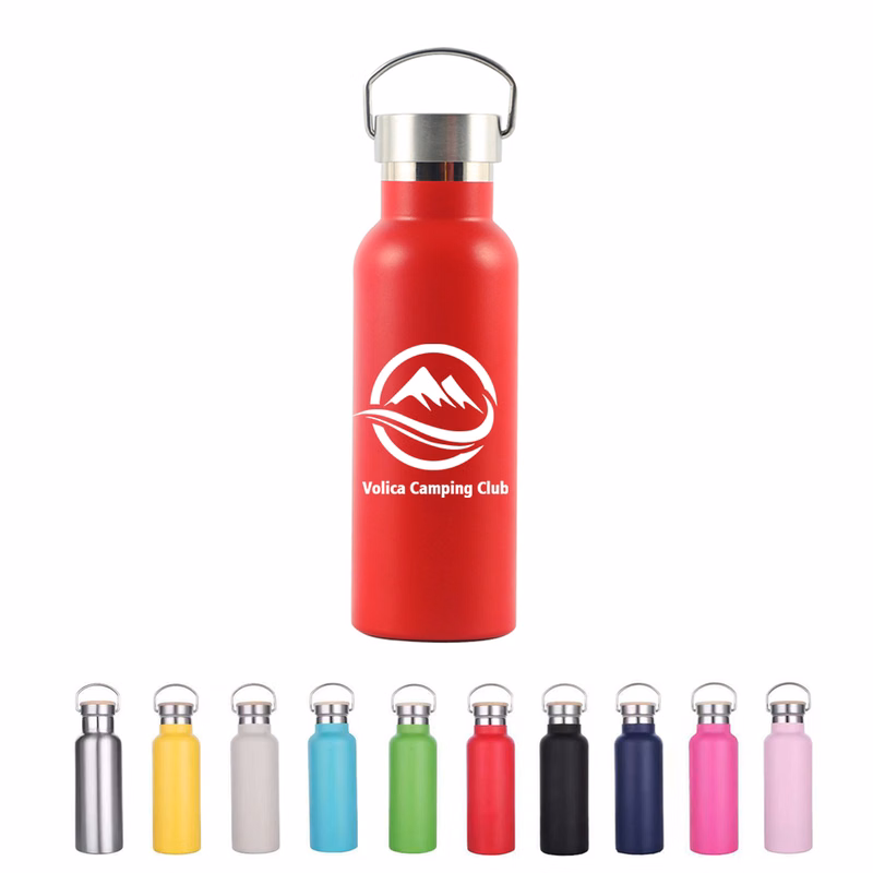 17 Oz Double Wall Vacuum Insulated Bottle w/Handle