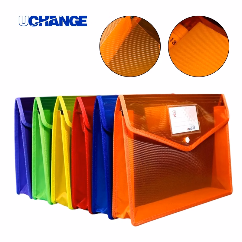 A4 Plastic Button File Folder With Mesh And Label Pocket