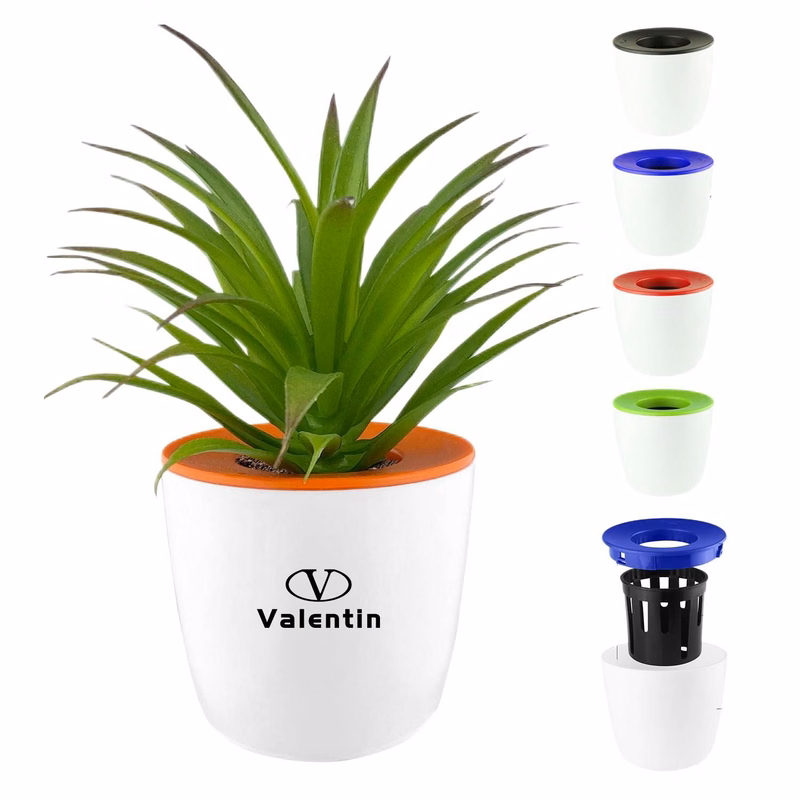 3" Plant Pot